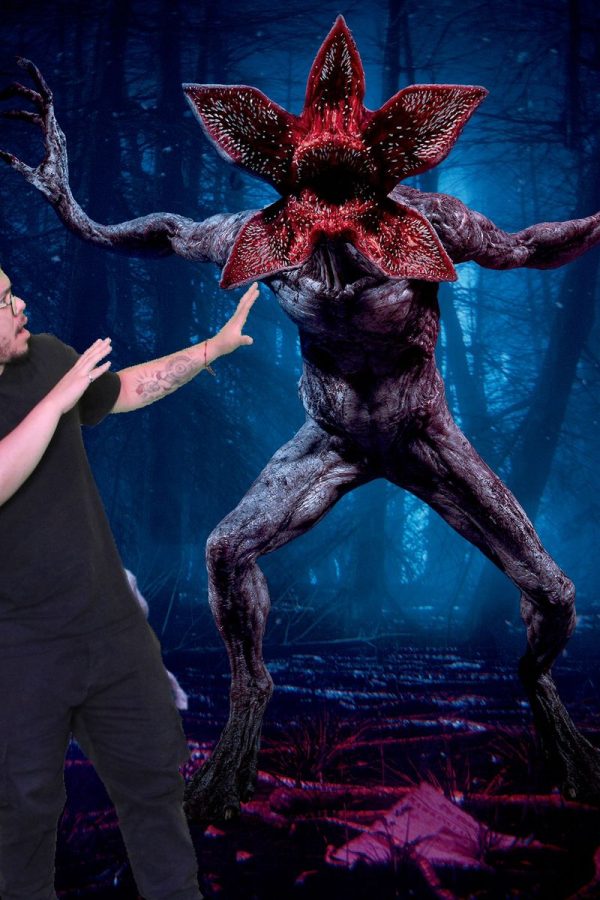 WhatsApp Image 2026-01-15 at 10.33.24 (2)